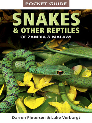 cover image of Pocket Guide Snakes & Other Reptiles of Zambia & Malawi